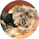 Jacky L. profile picture